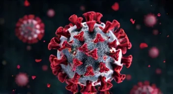 Die besten 8 Tipps bei Norovirus-Ausbrüchen