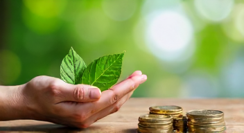 Ökonomische Anreize für nachhaltiges Verhalten (7/10)